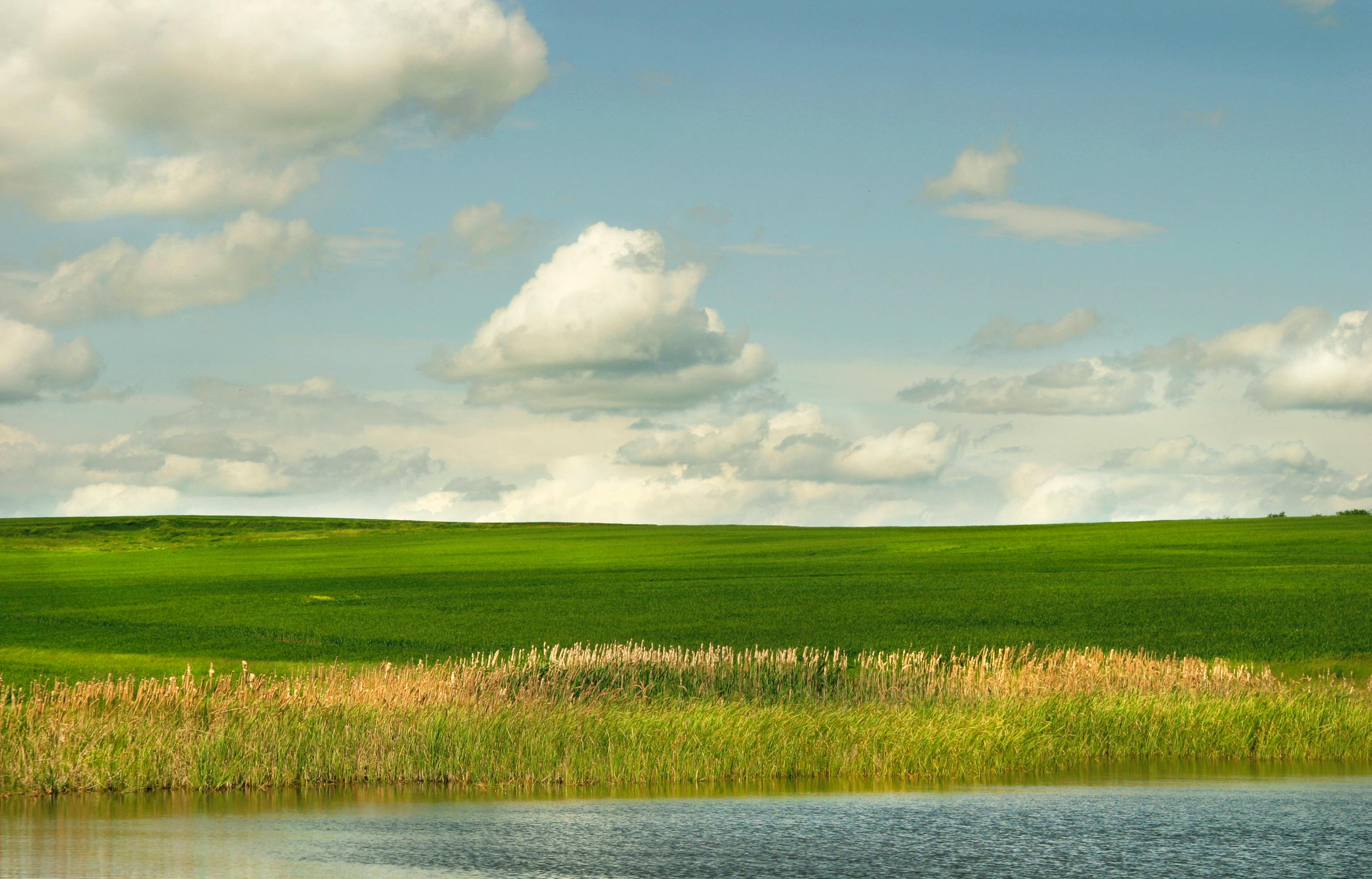 Beautiful green fields under a cloudy sky with a calm body of water in Bulgaria.