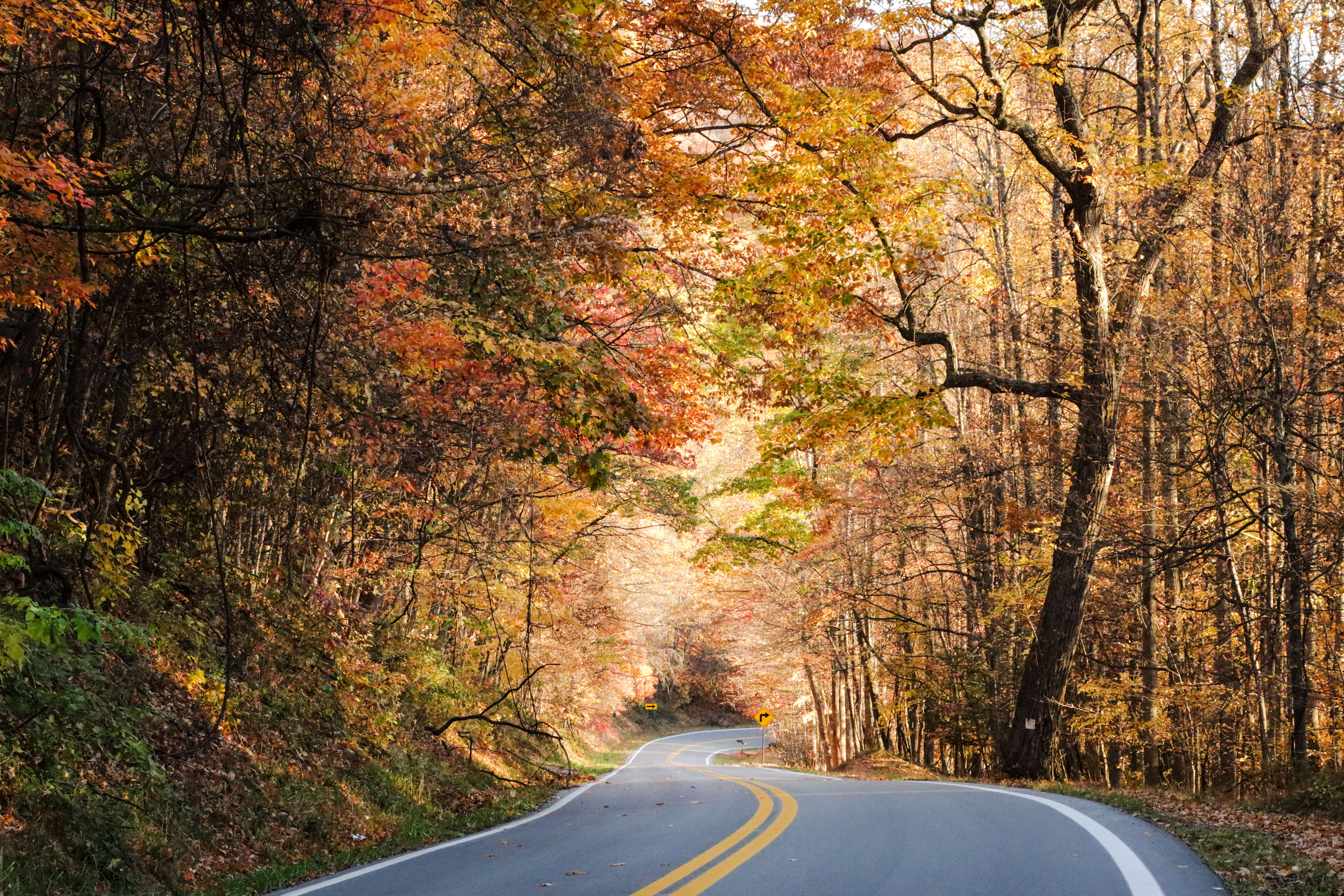 Plan Your Trip: Halal-Friendly Destinations for the Fall