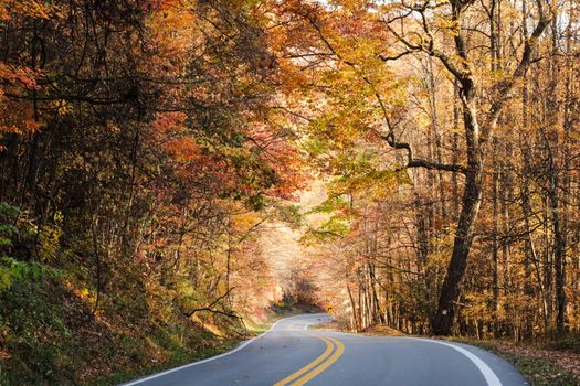 fall foliage road