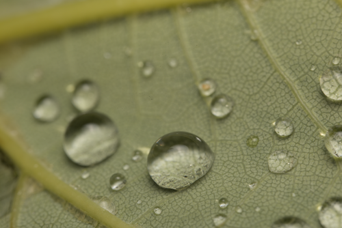 Free Wassertropfen Stock Photo