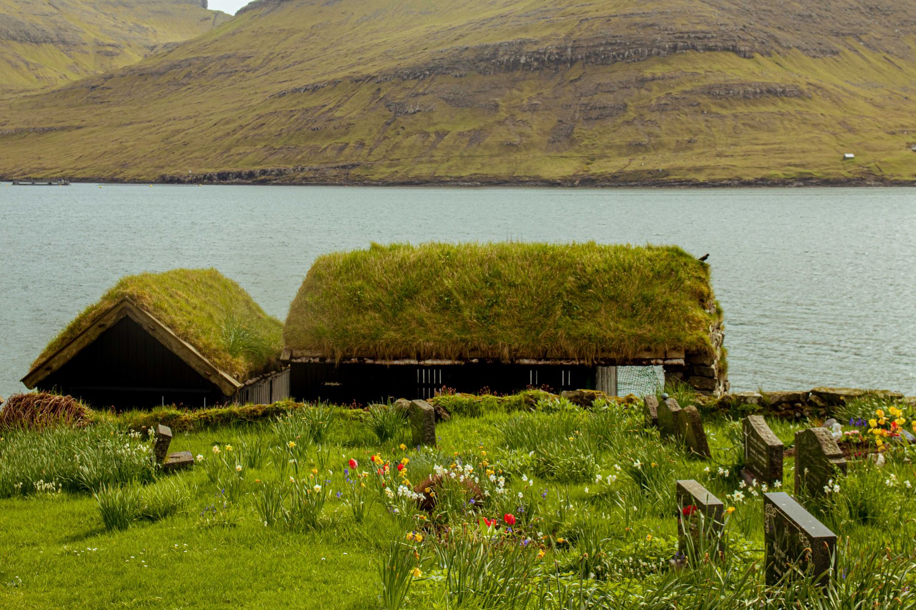 Gásadalur, Faroe Islands: Desa Terpencil Nan Magis yang Wajib Masuk Daftar Liburan Impianmu!