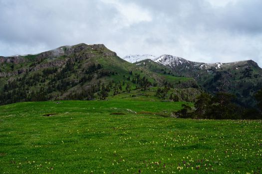 Stunning view of lush green hills leading to snow-capped mountains under a cloudy sky.