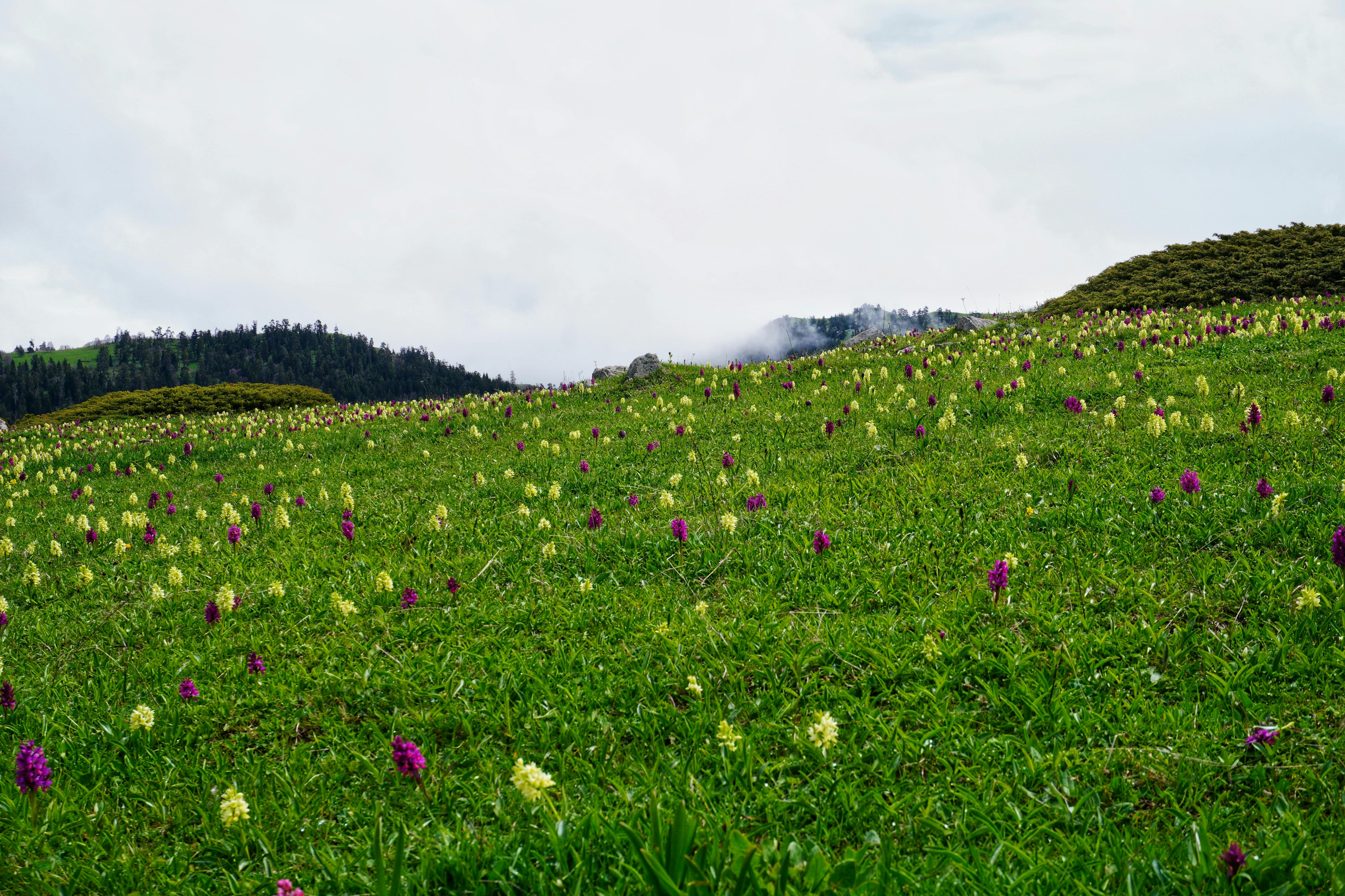 How Corporate Diversity Initiatives Are Revolutionizing the Workplace