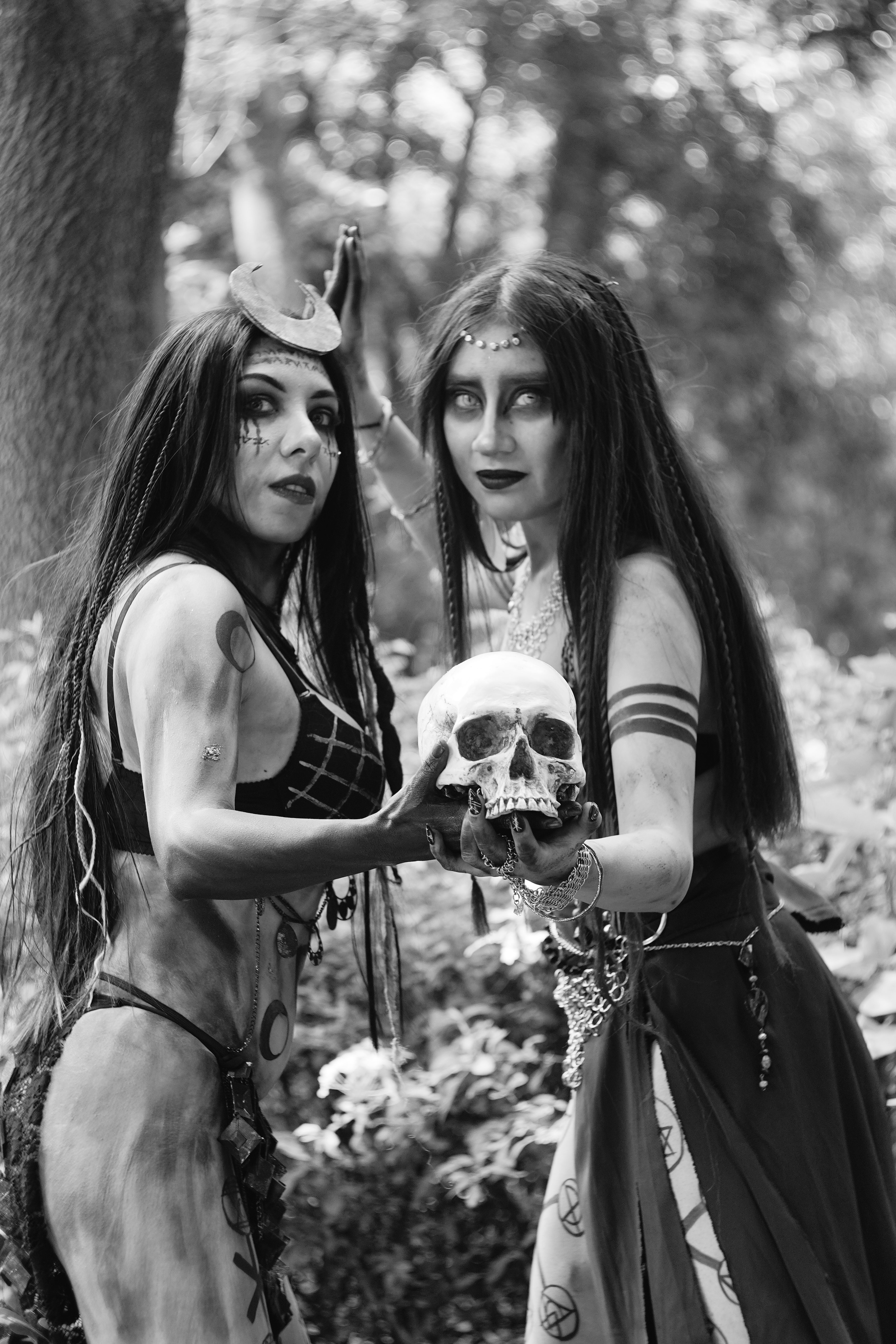 Mysterious Forest Ritual with Skulls · Free Stock Photo