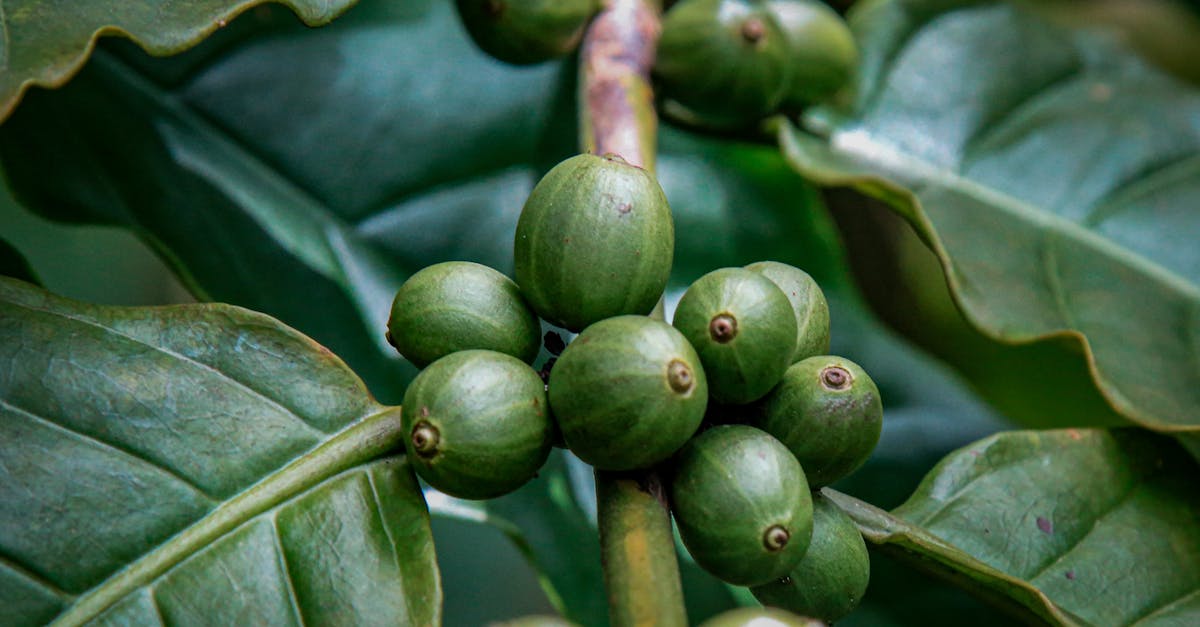 從逛展開始為地球盡一份力 新光三越 RE ACTION綠循環生活展 5 28熱鬧登場