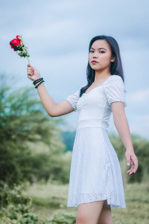 Free Woman Wearing White Dress While Holding a Rose  Stock Photo