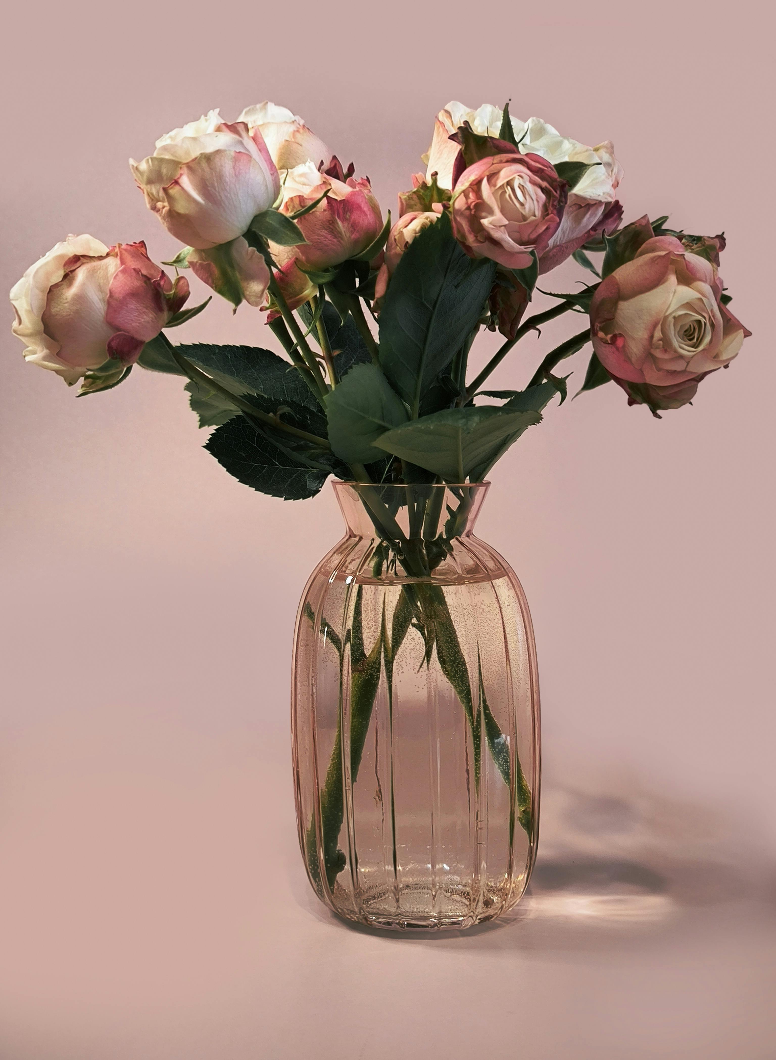 Achieving Long-Lasting Cut Flowers: Strategic Harvest Timing, Conditioning, and Vase Life Extension for Home Gardeners