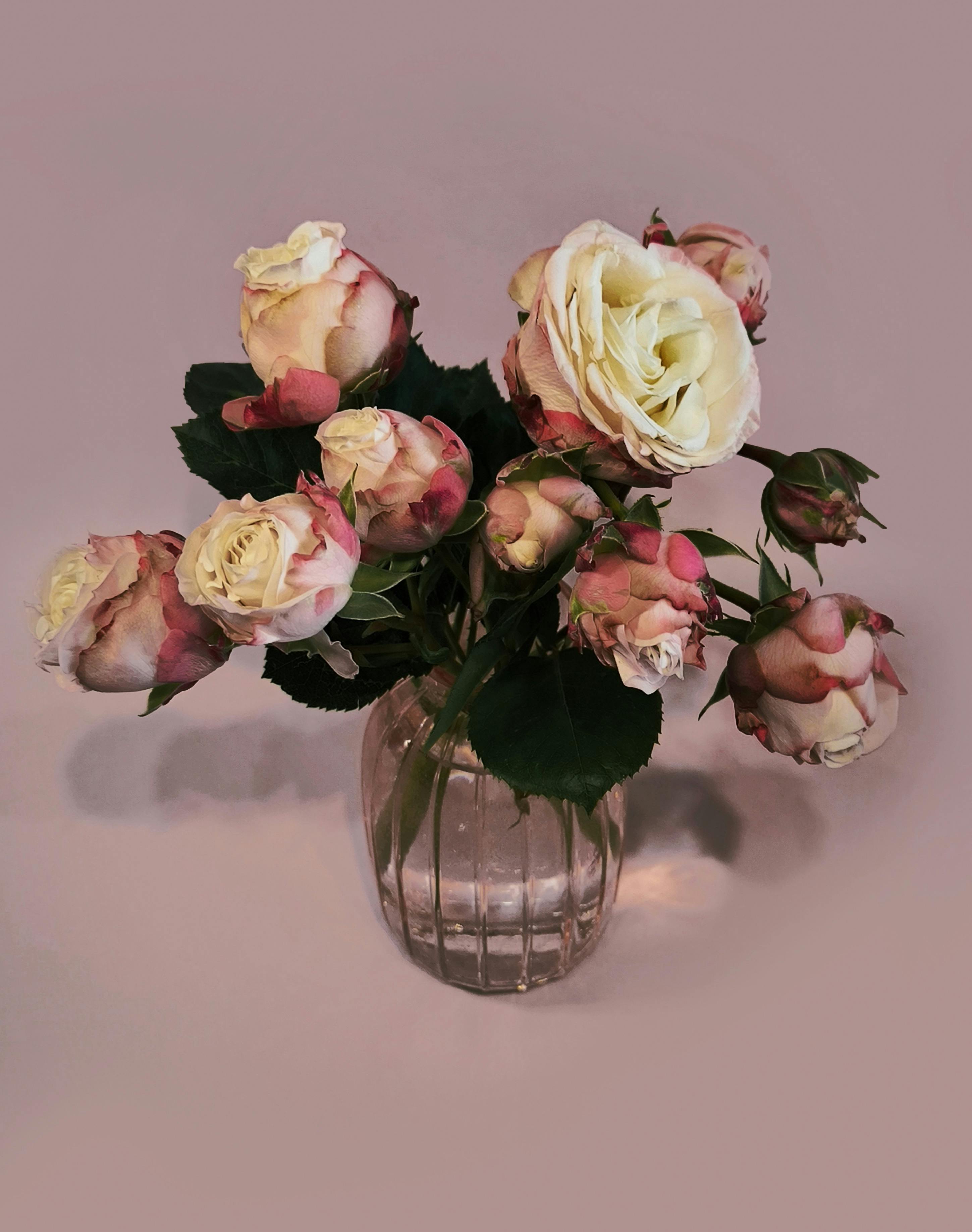 clean flower vase with floral food