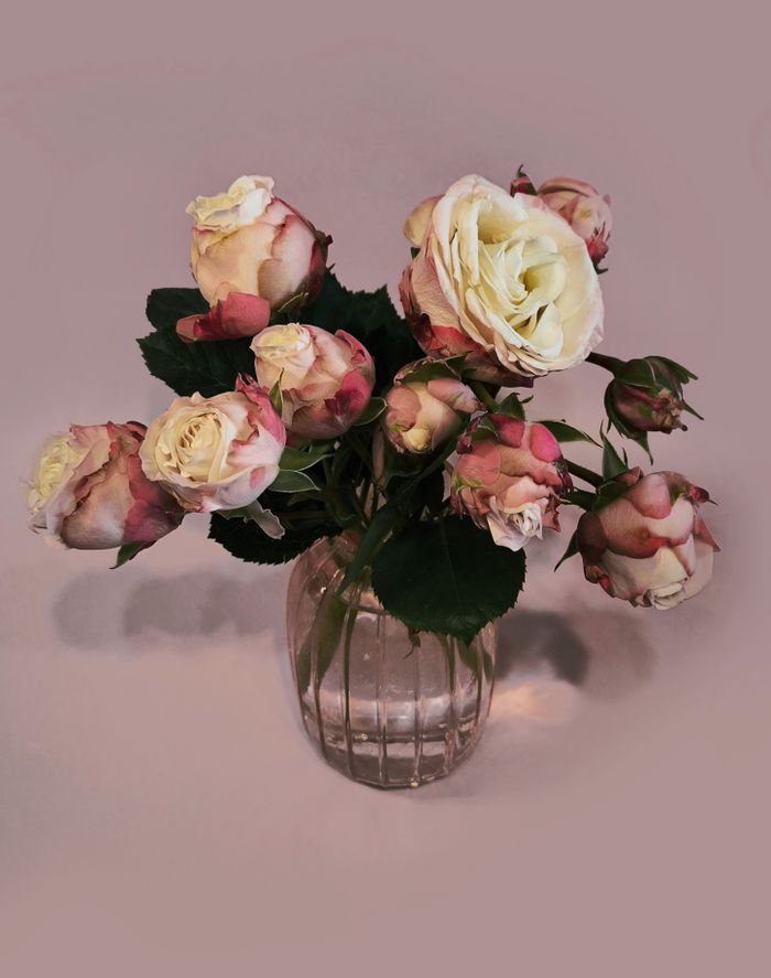 Blush roses in a glass vase