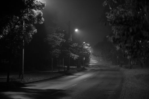 Gece vakti, sokak lambaları ve ağaçlarla sessiz bir sokağın siyah beyaz fotoğrafı.
