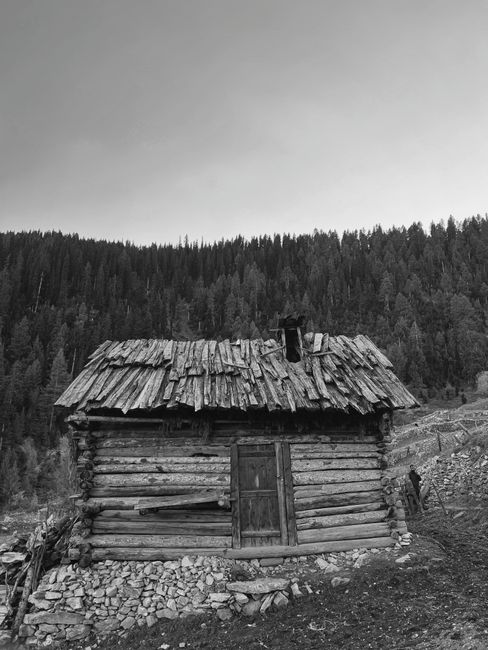 A rustic wooden hut against a forest backdrop, captured in monochrome.