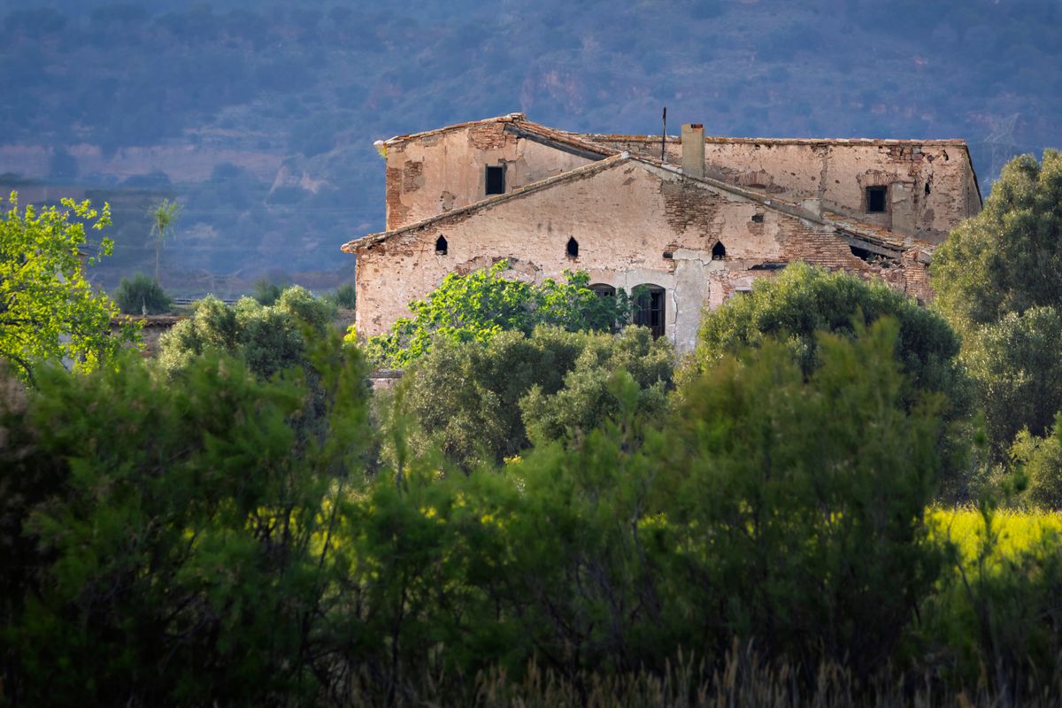Masías en el campo catalán
