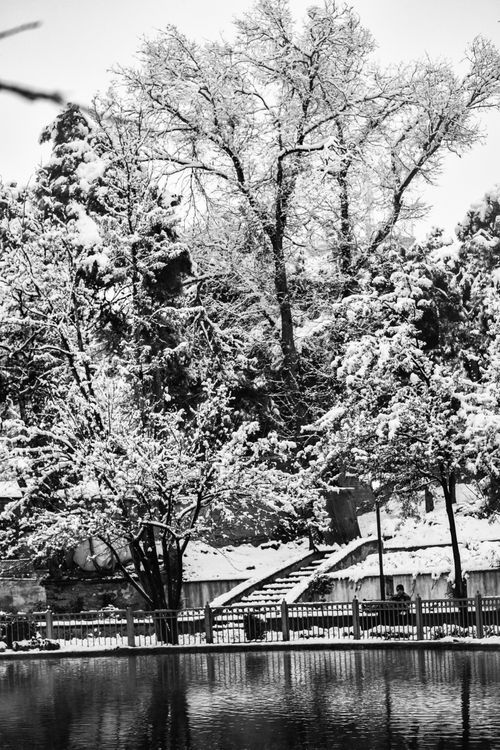 Free winter Stock Photo
