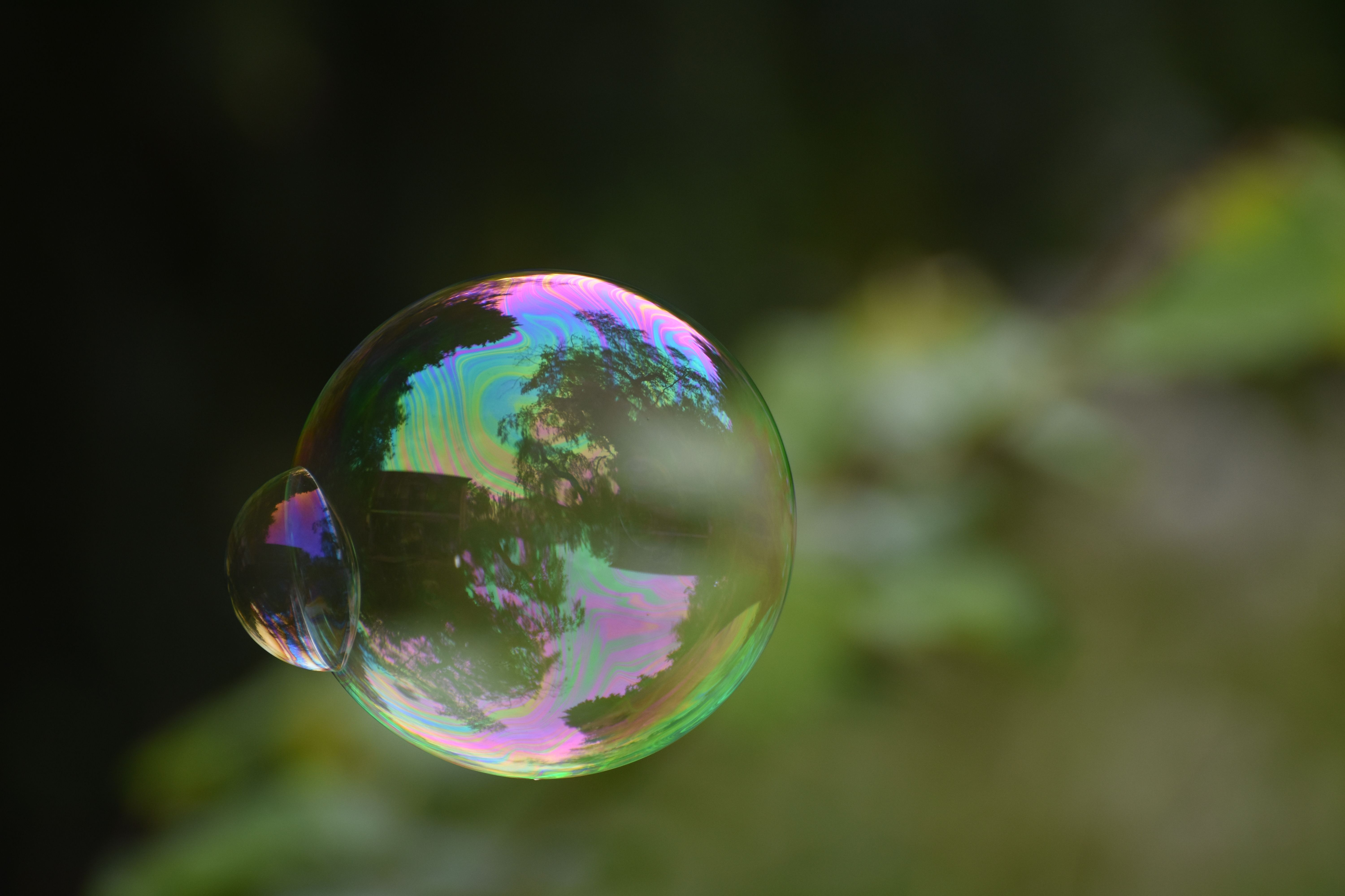 Colorful Soap Bubble in Nature with Reflection · Free Stock Photo
