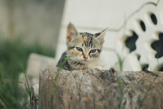 Drama BL Terbaru "Ball Boy Tactics": Choi Jae Hyeok dan Yeom Min Hyuk Tak Bisa Menahan Ketertarikan Mereka - drama 1