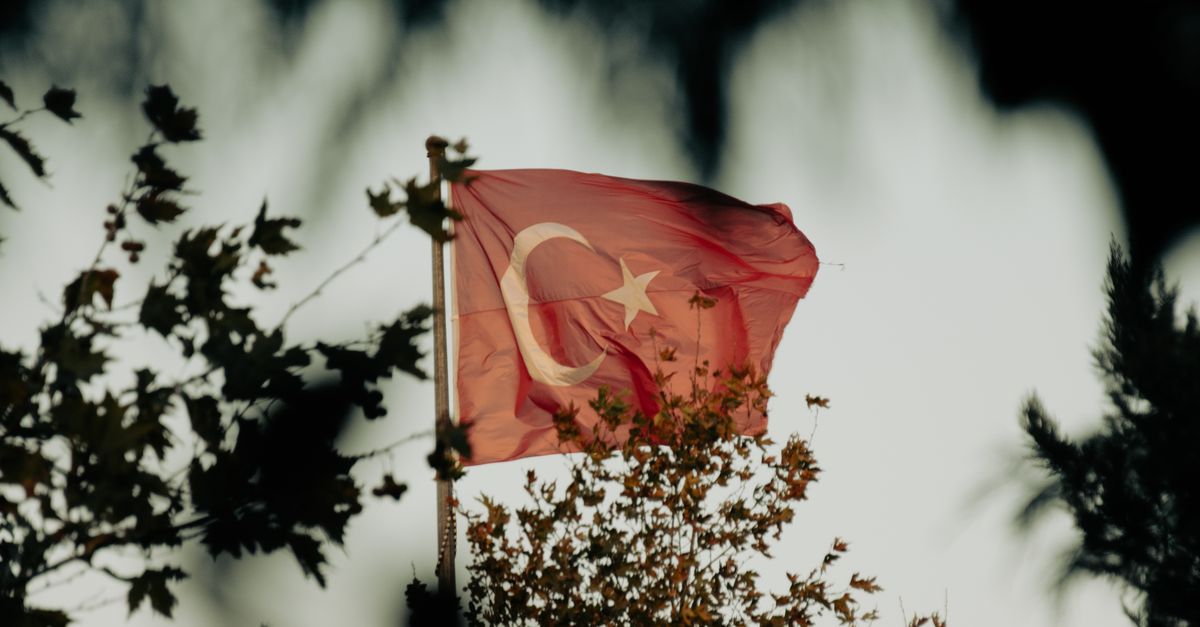 Turkish Flag Waving Amidst Trees at Dusk · Free Stock Photo