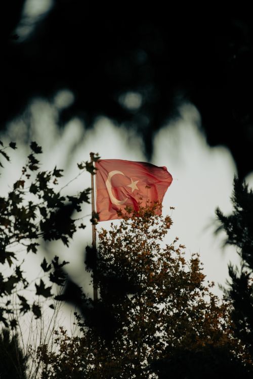 Free Silhouette of the Turkish flag waving amongst trees, captured during dusk for a dramatic effect. Stock Photo