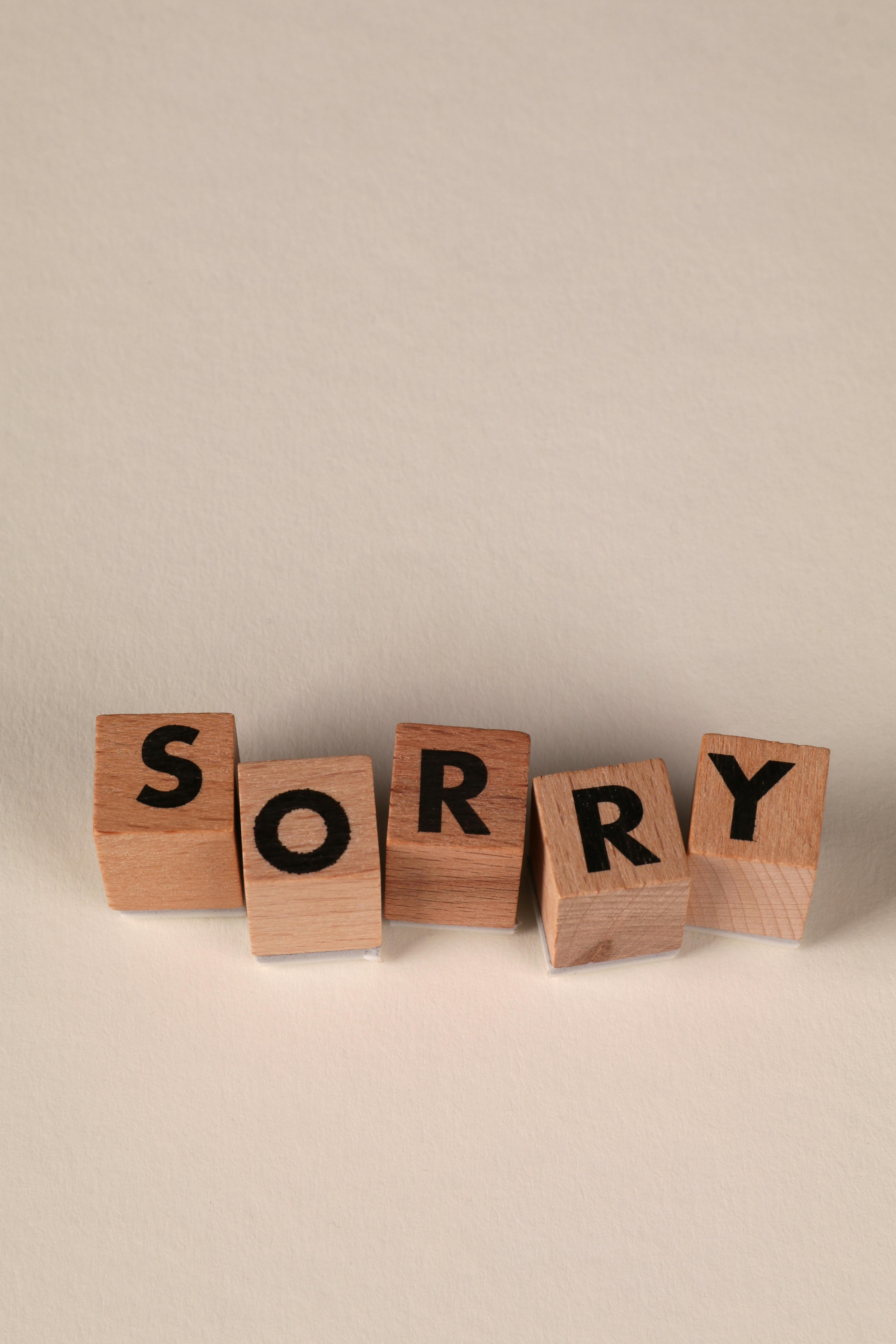 Wooden blocks spelling 'SORRY' on a simple neutral background. Perfect for themes of apology or communication.