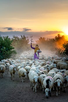 日出时分，一名妇女穿过乡村景观放羊，拥抱宁静的田园风光
