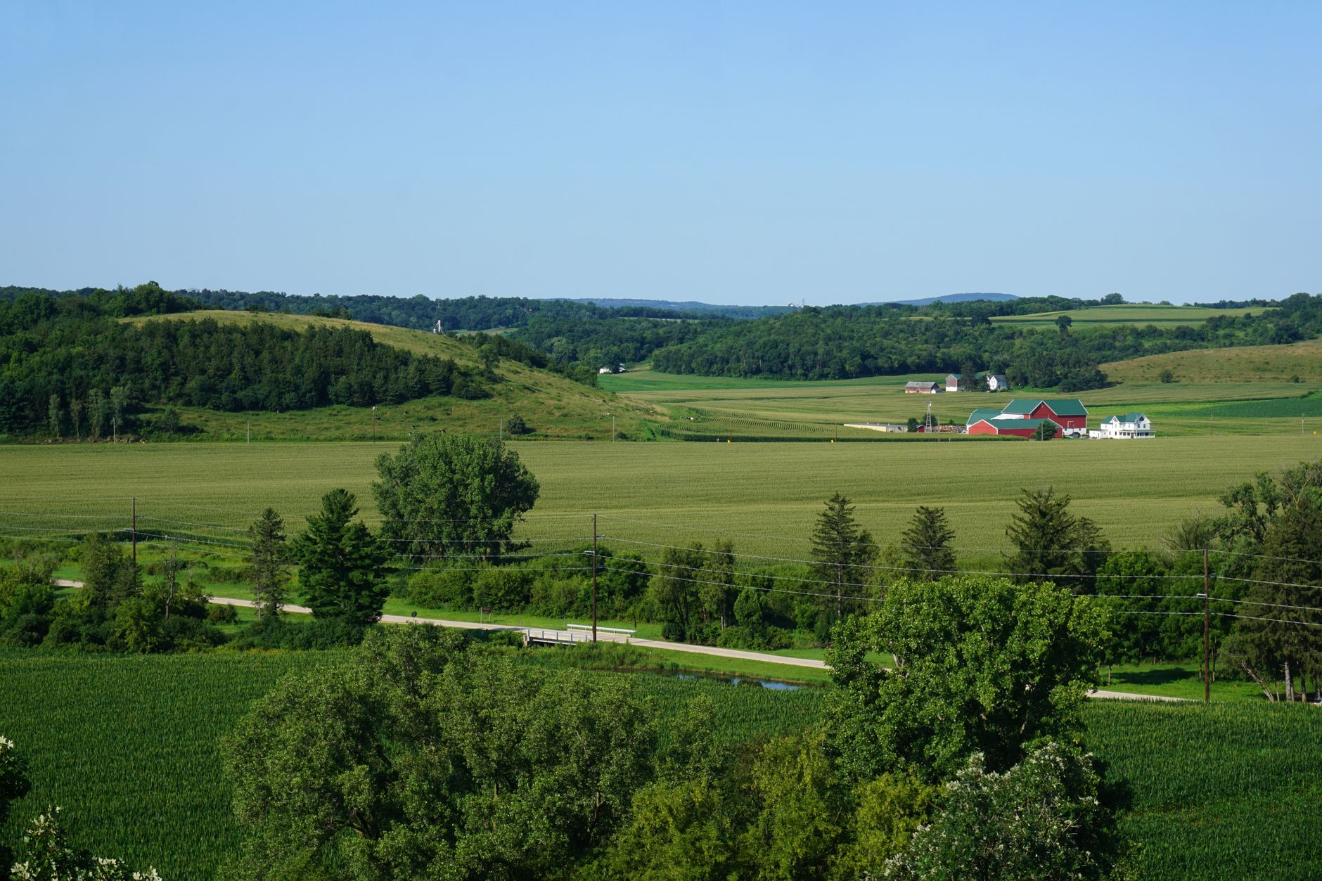 Rolling farmland and tobacco barns along Highway 49 in Robertson County