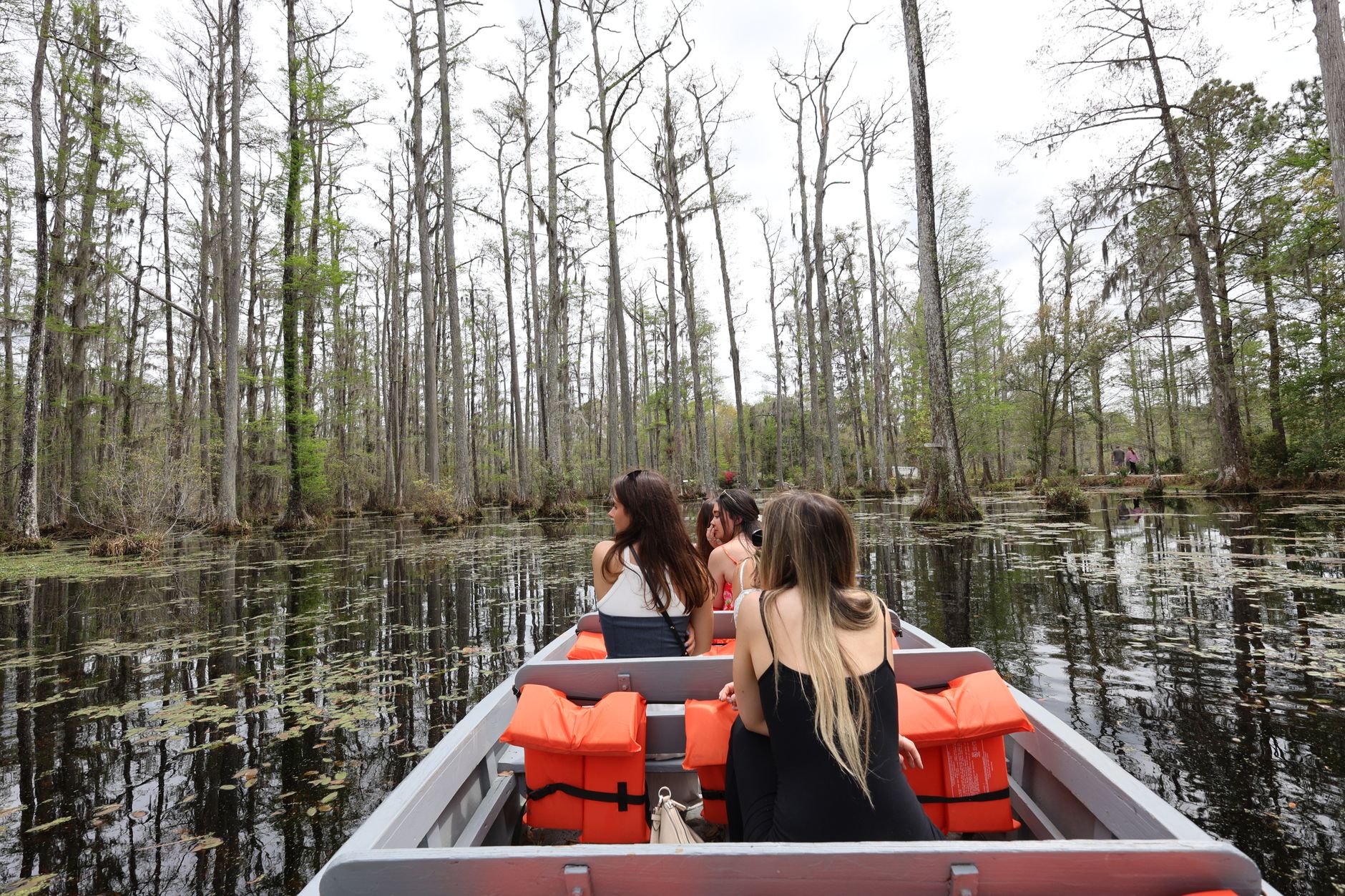 Experience a tranquil boat ride through a serene swamp landscape in South Carolina.