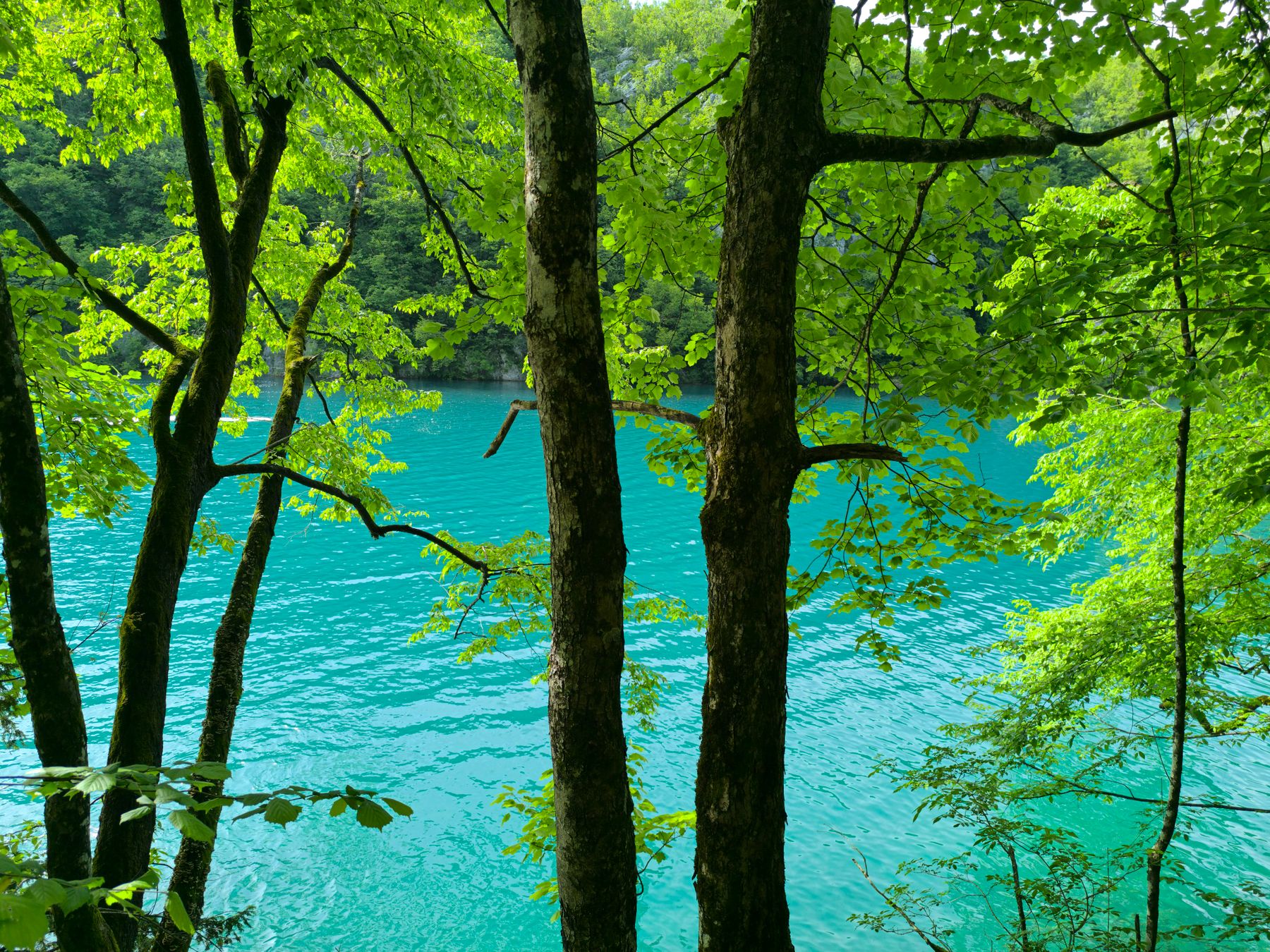 Hiking on Mljet: Trails, Lakes and Practical Tips