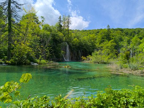 Grün & Lebendig in der Natur – Eindrucksvolles Landschaftsfoto