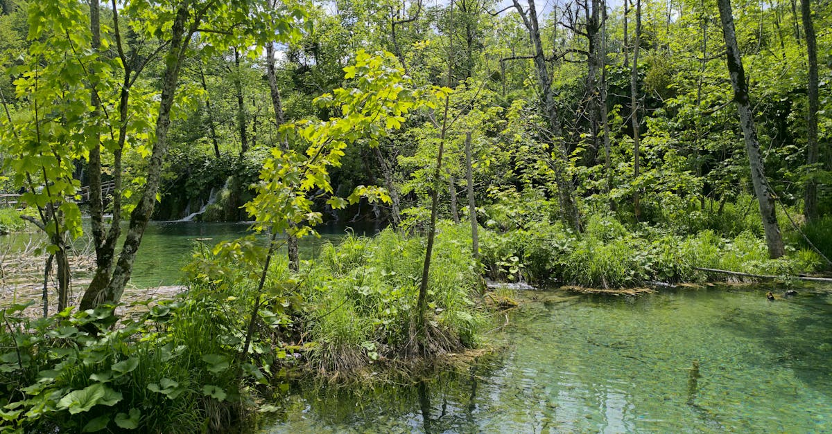 從逛展開始為地球盡一份力 新光三越 RE ACTION綠循環生活展 5 28熱鬧登場