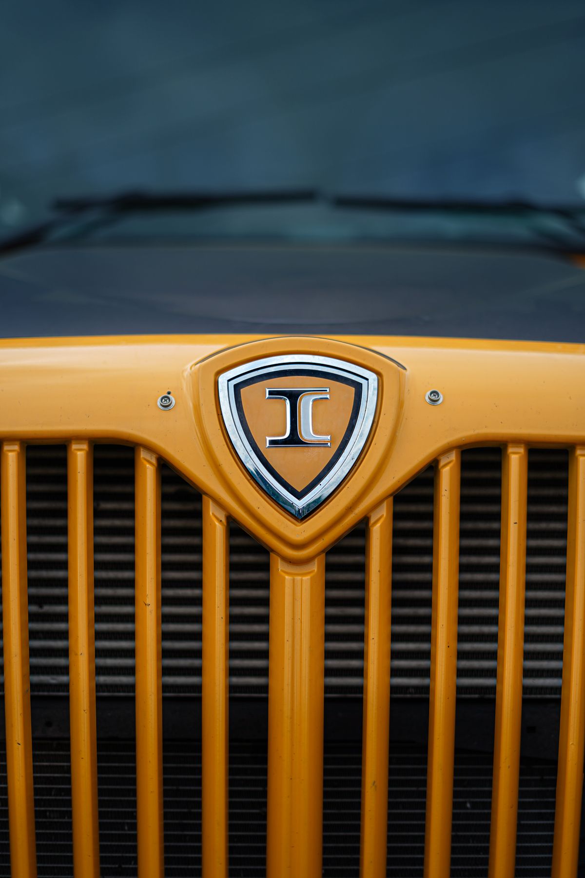 School bus images photos download the best free school bus images