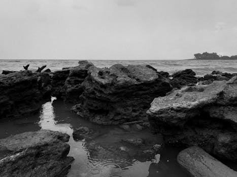 Dramatic black and white photo of rocky seaside in Mosqueiro, Pará, Brazil.