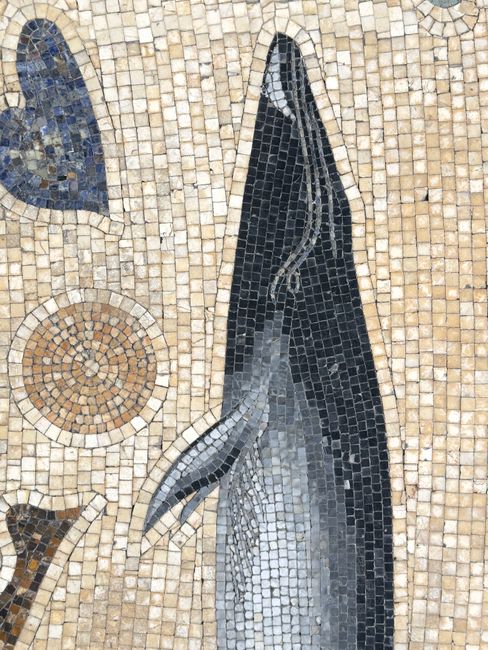 Intricate mosaic displaying a stylized dolphin, showcasing exquisite artistry in tile work.