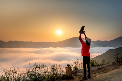 Photo Of Person Standing Near Sea Of Clouds