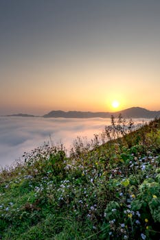 在云层缭绕、绿意葱茏的山地景观中，可以欣赏到令人惊叹的日出景色