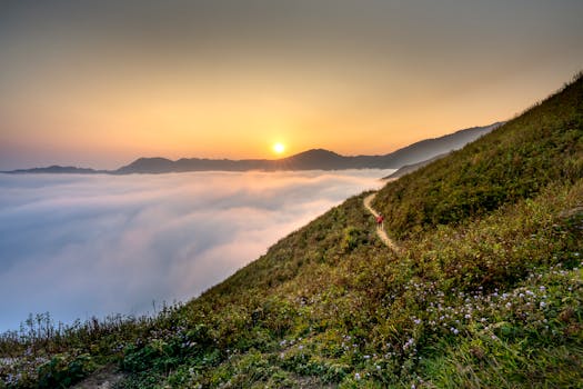 薄雾笼罩的山脉上，日出景色令人惊叹，绿树成荫，一位徒步旅行者独自前行