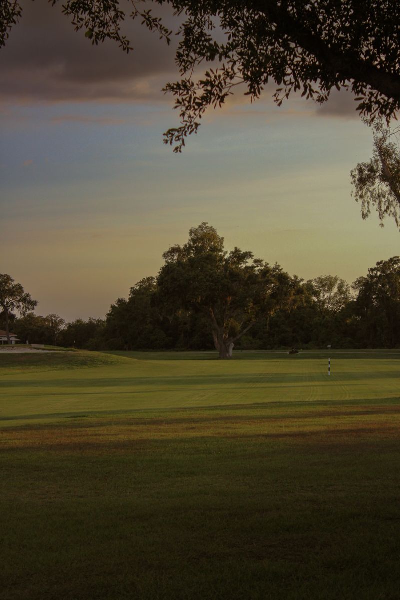 Meadowland golf course in sylvan lake