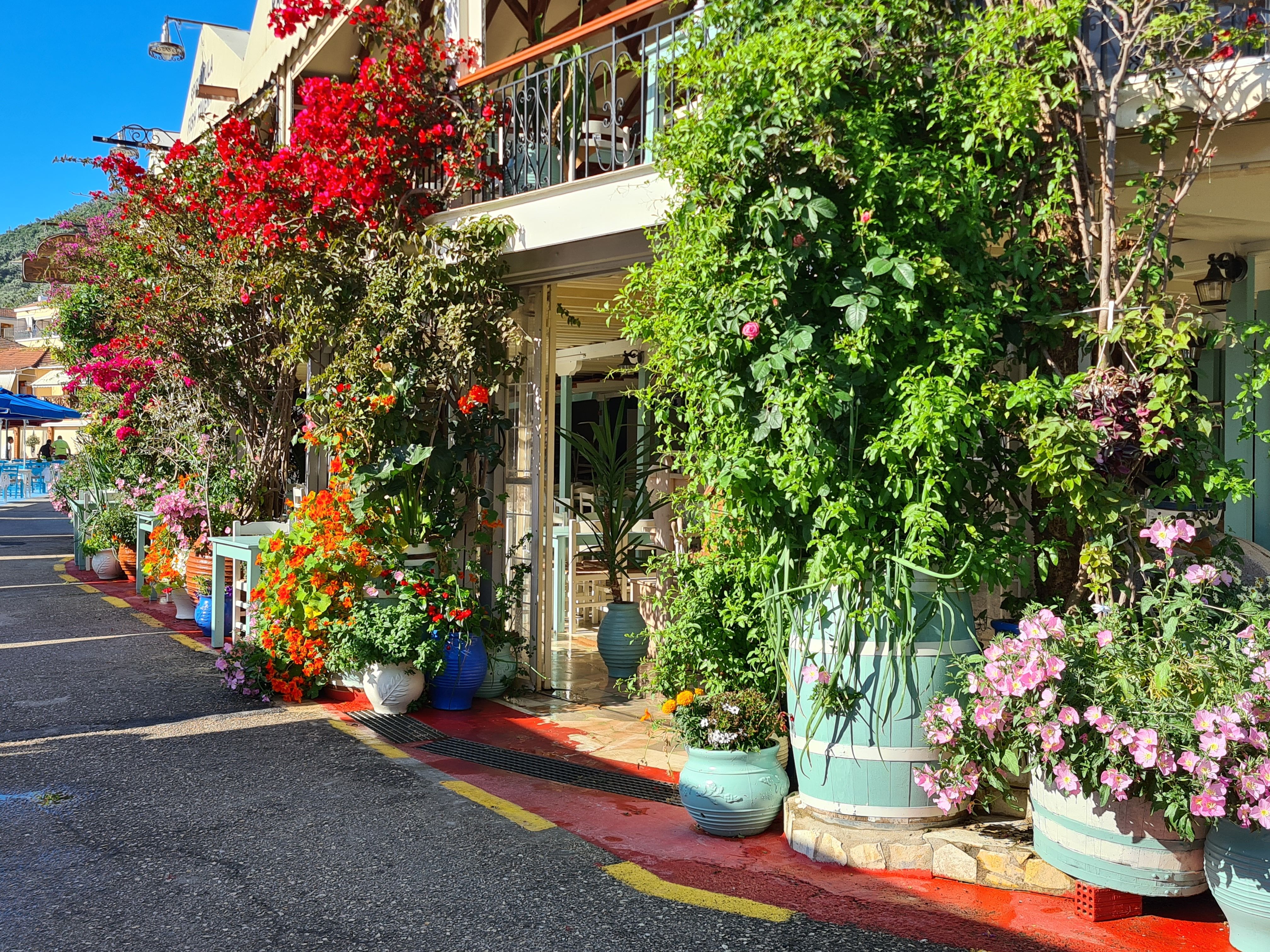 Outdoor dining at a Greek taverna on a warm June evening