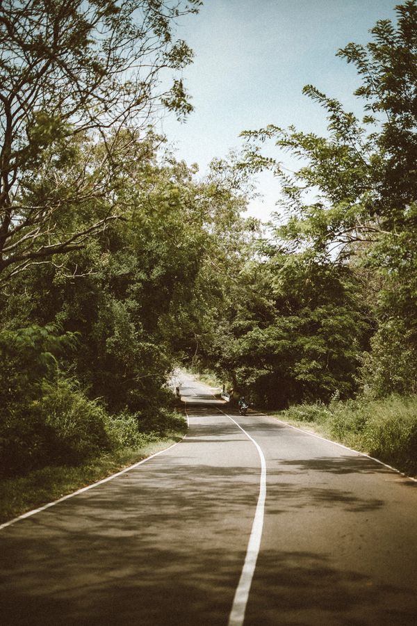 Kandy to the South Coast: The Best Way to Get There (2026)