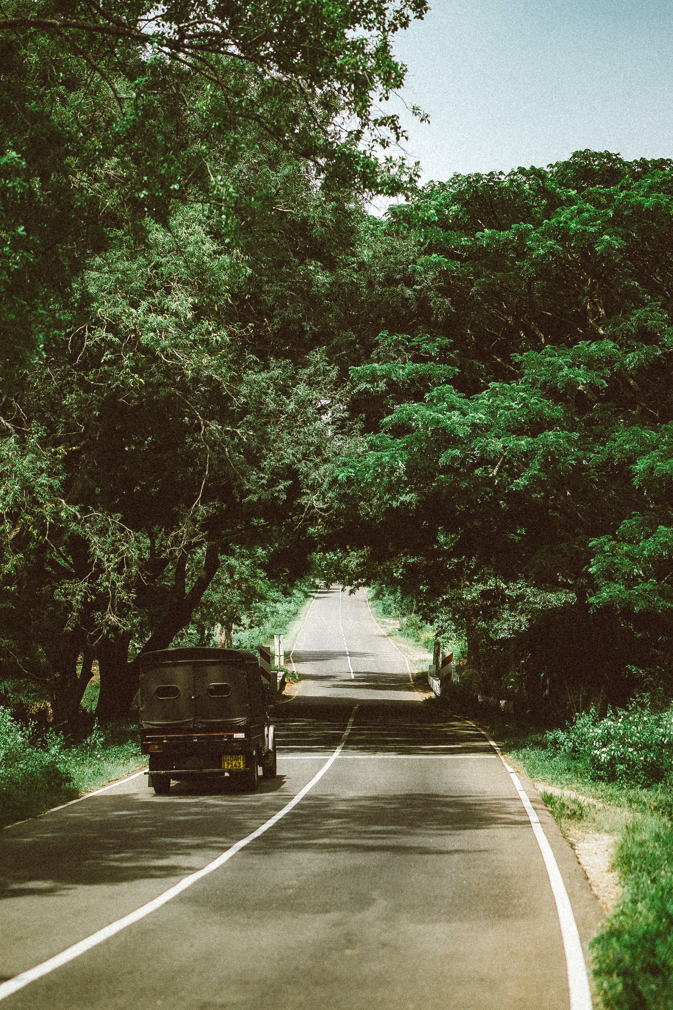 Scenic Road through Lush Greenery in Galle · Free Stock Photo