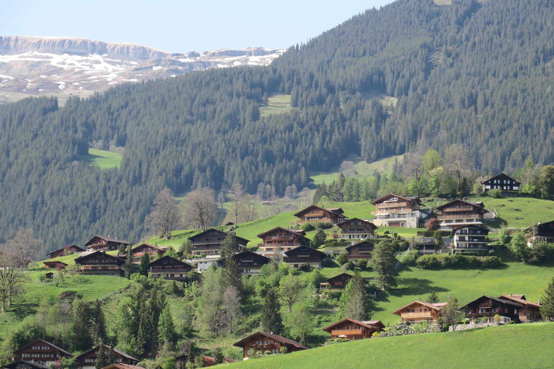 Desa Wengen Swiss: Permata Tersembunyi di Pegunungan Alpen yang Wajib Kamu Kunjungi!