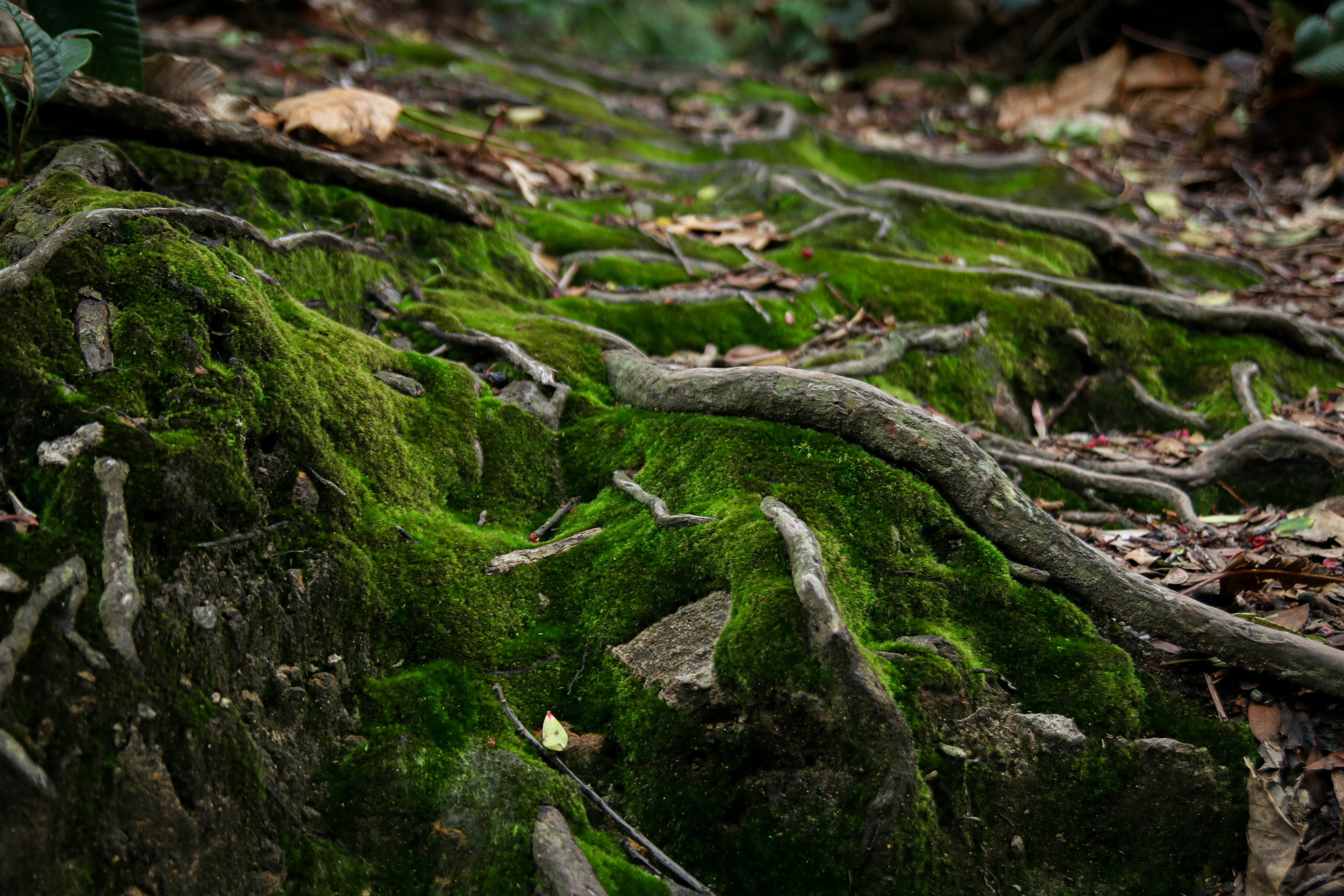 Best Nature & Spirit 2026: Get Grounded, Maximize Your ROI