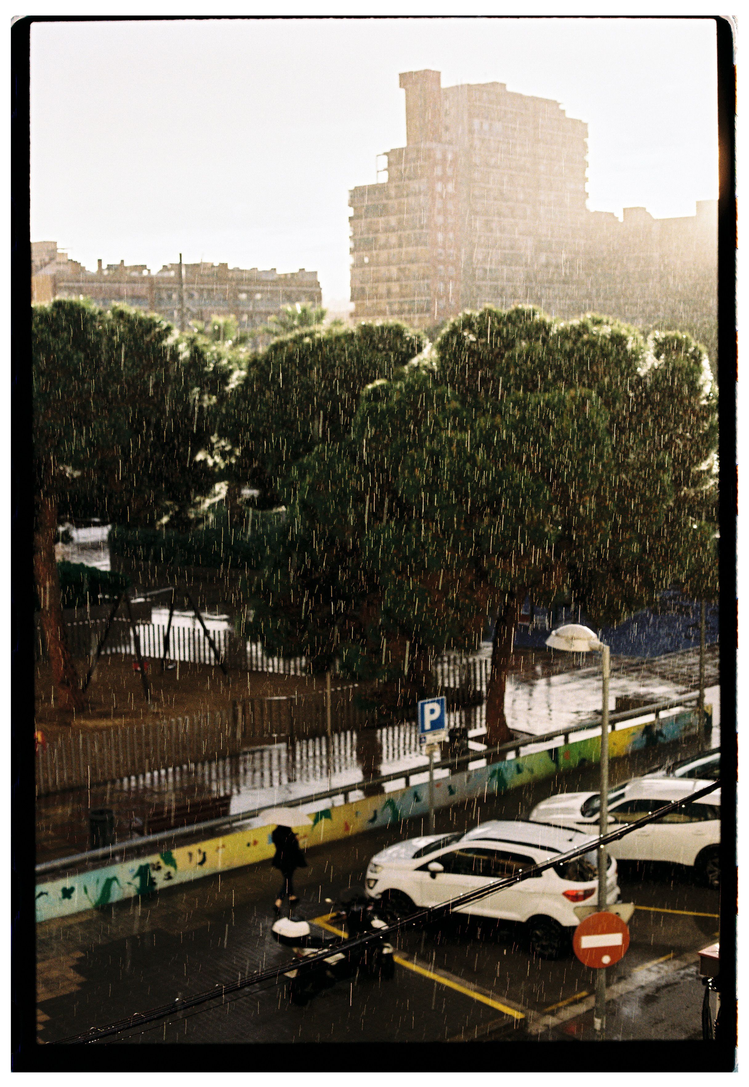 Urban Rainfall View with Cars and Trees · Free Stock Photo