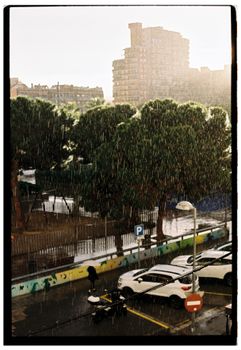 An urban scene capturing rain falling on parked cars and trees with buildings in the background.