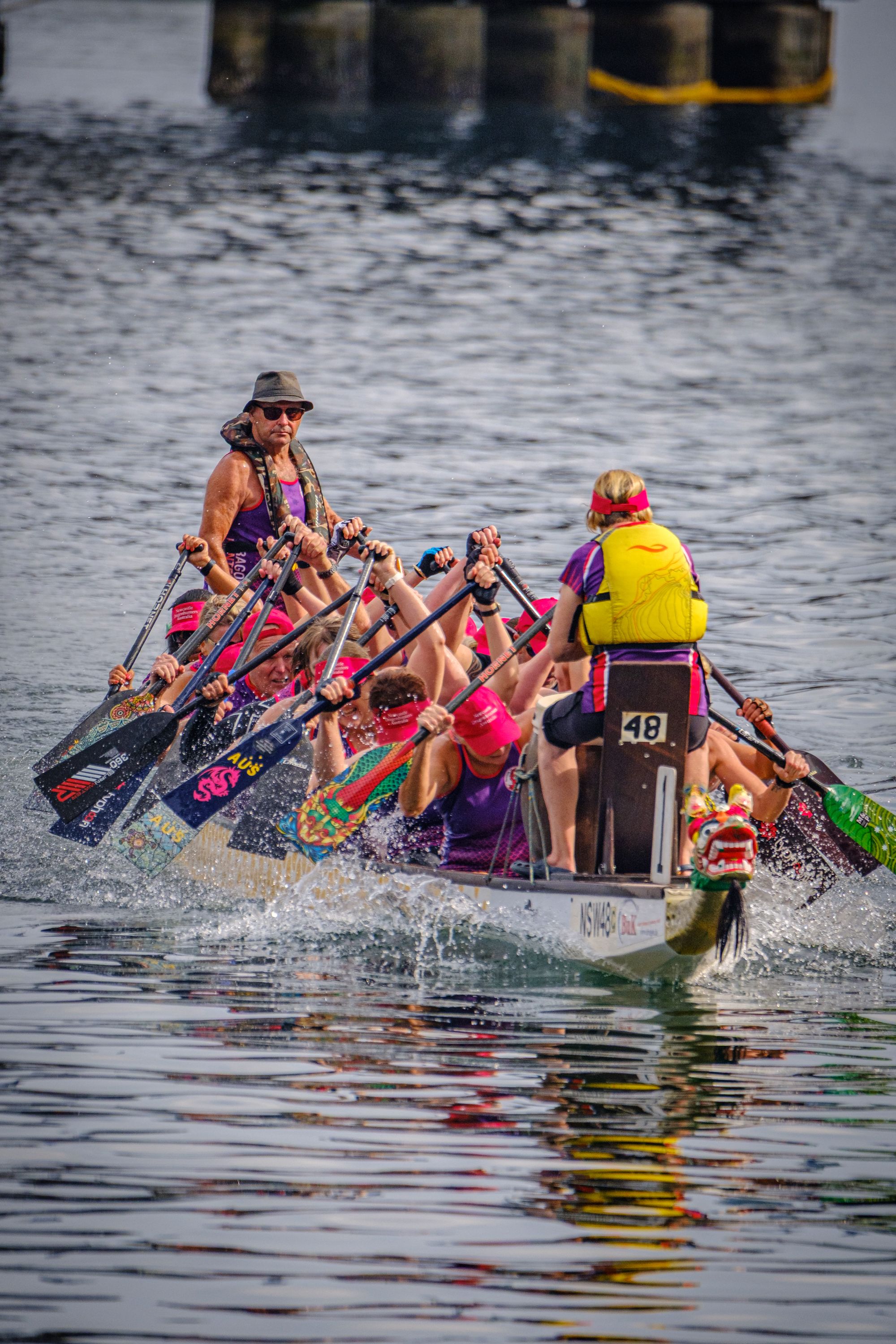 Energetic Dragon Boat Racing in Sydney Harbour · Free Stock Photo