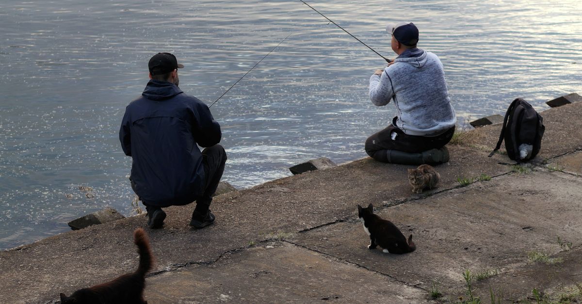Fishing By Riverside Two men fishing by a tranquil riverside · Free Stock Photo