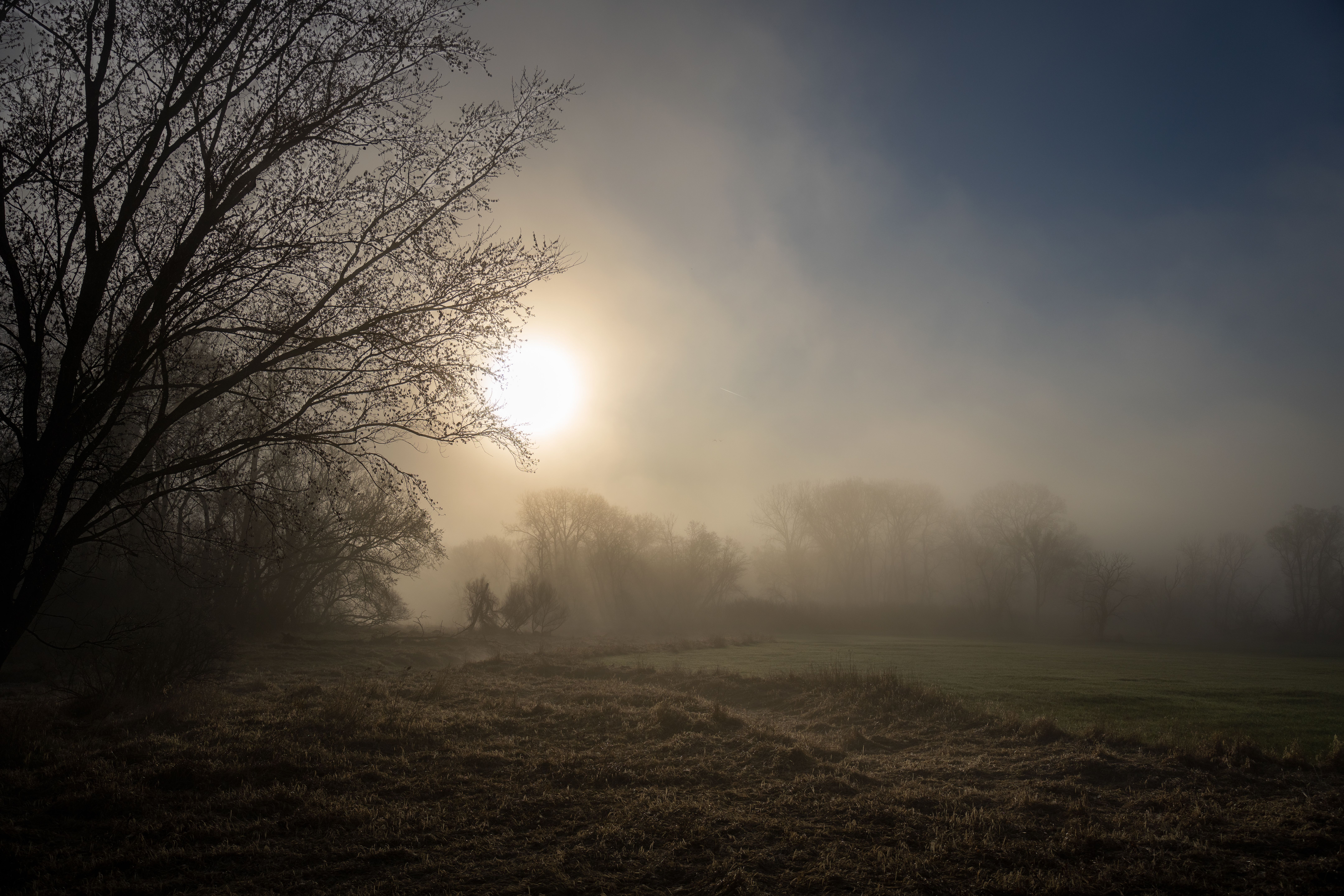 Serene Morning Mist in Minnesota Landscape · Free Stock Photo