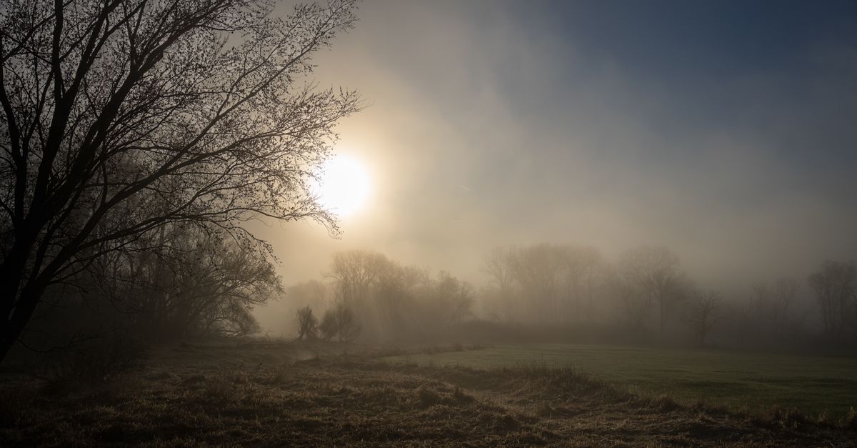 Spring Minnesota Morning Serene Morning Mist in Minnesota Landscape · Free Stock Photo