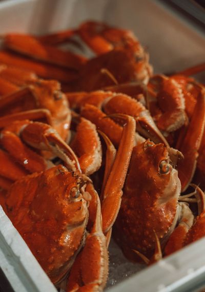 Steamed crabs in a tray — Viridiana Rivera on Pexels