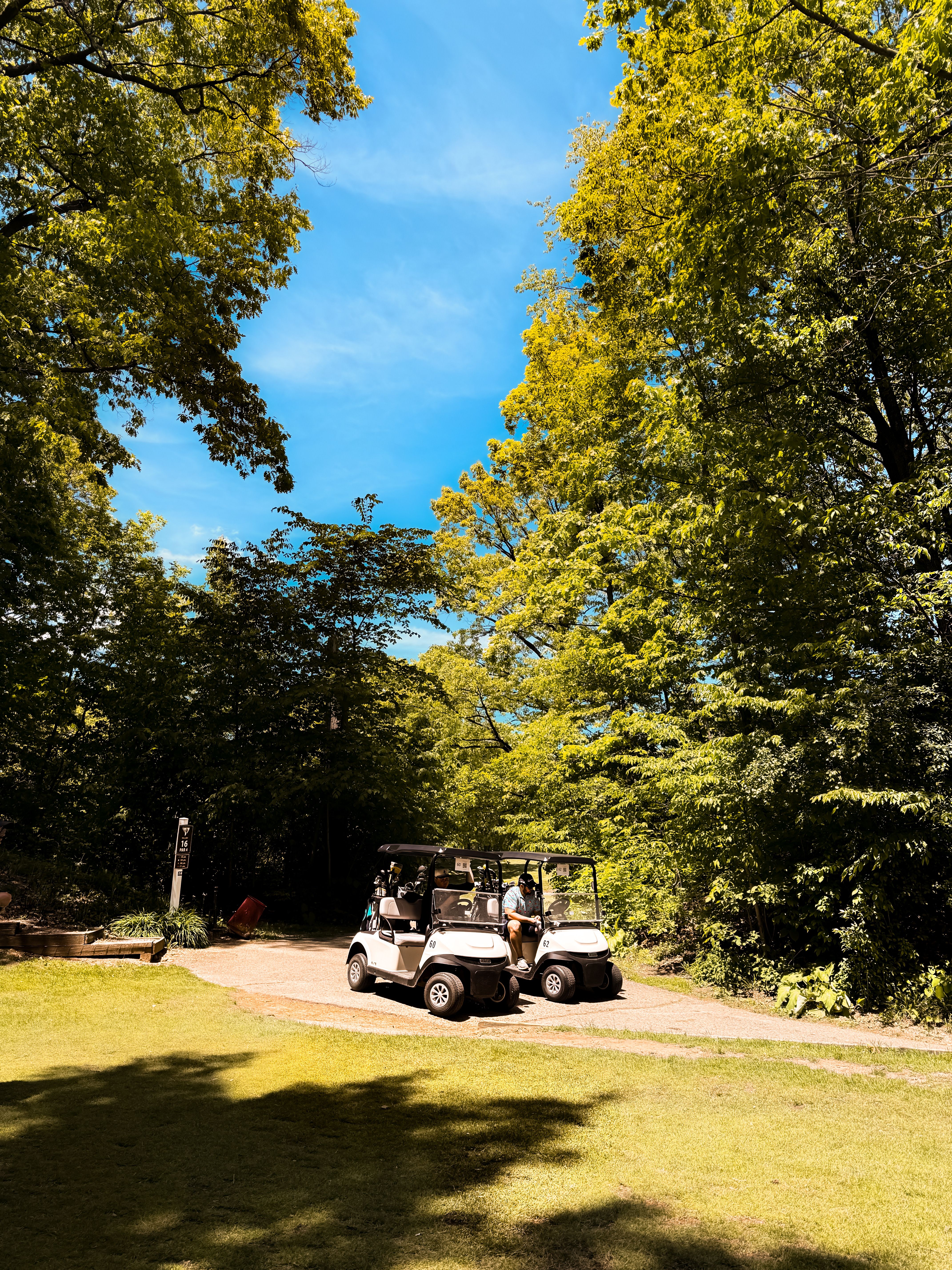 Voiturettes de golf sur un sentier panoramique bordé d'arbres, cycle d'utilisation pour le tourisme et la navette en station que le pack 51,2 V 105 Ah assure