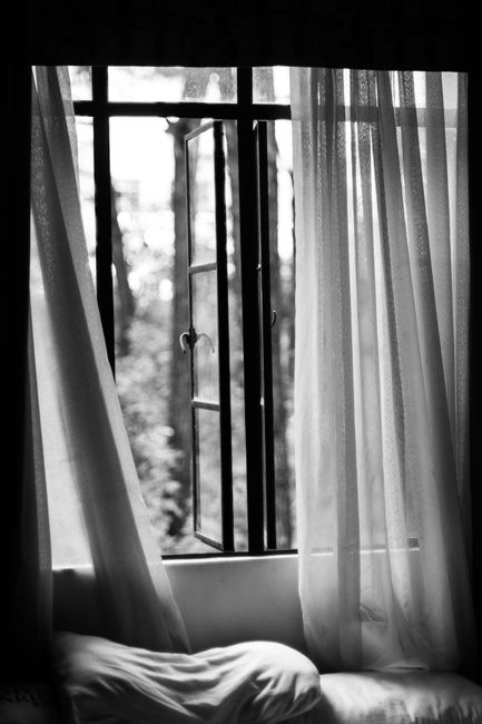 A peaceful black and white view through a window with softly flowing curtains on a calm morning.