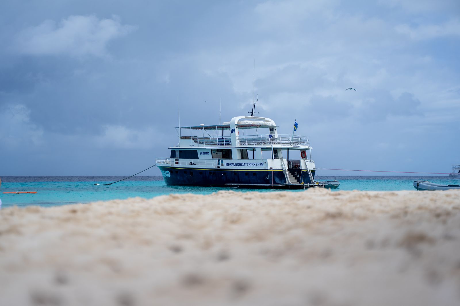Sapphire Reef